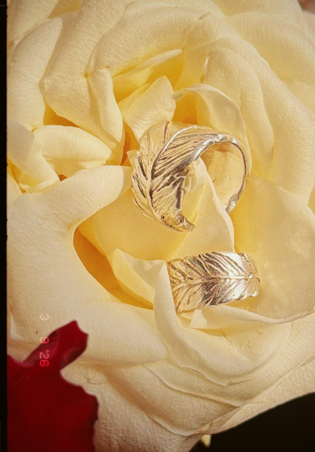 Feather
