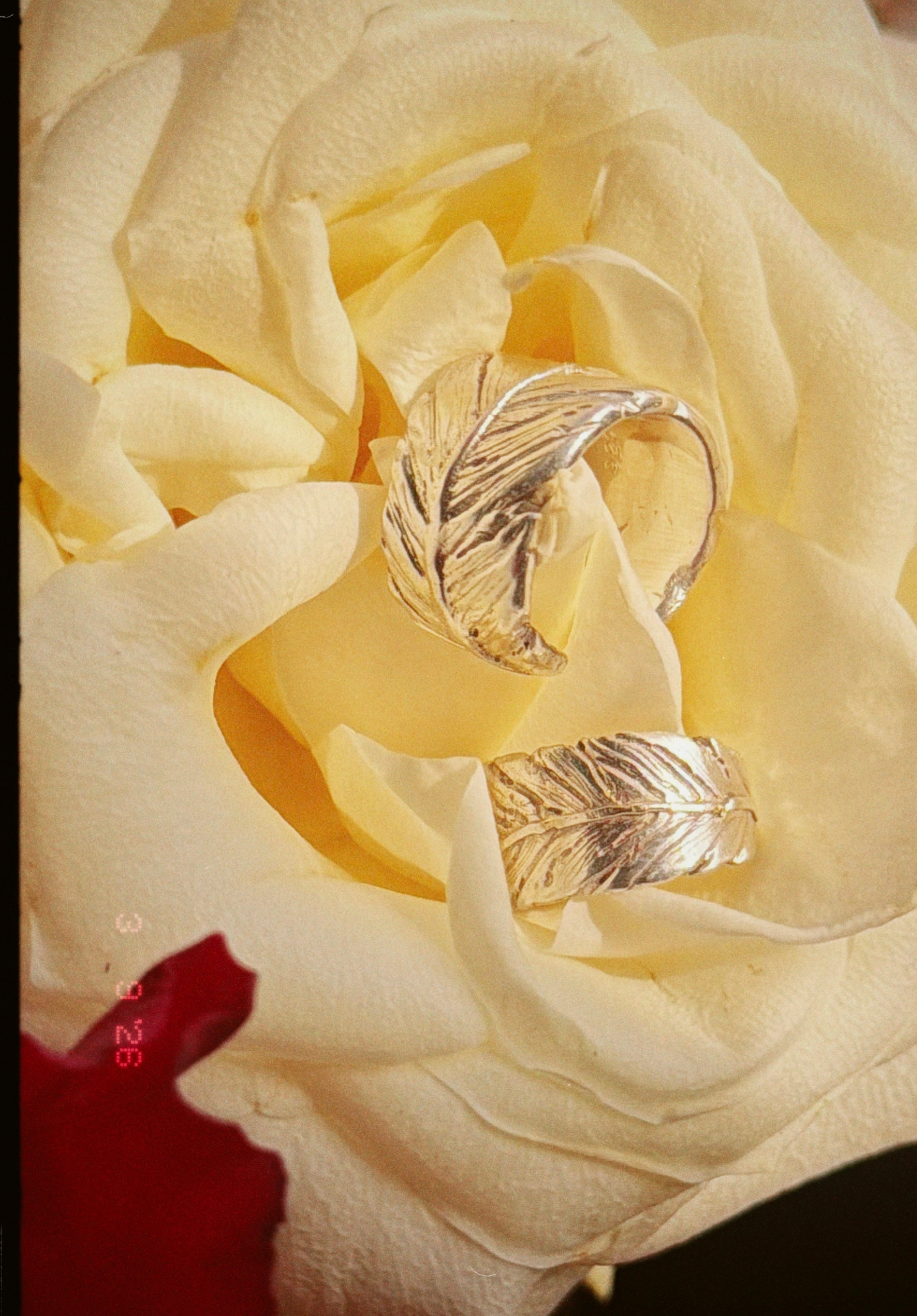 Feather